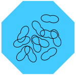 Campylobacteriosis